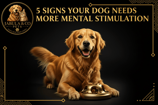 5 Signs Your Dog Needs More Mental Stimulation - Jabula & Co Pets