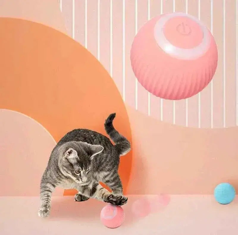 Interactive Motion Sensor Cat Ball Toy | Jabula & Co Pets - Jabula & Co Pets