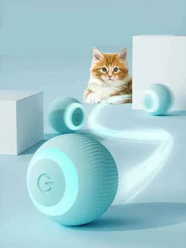 Interactive Motion Sensor Cat Ball Toy | Jabula & Co Pets - Jabula & Co Pets
