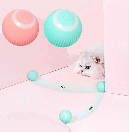 Interactive Motion Sensor Cat Ball Toy | Jabula & Co Pets - Jabula & Co Pets