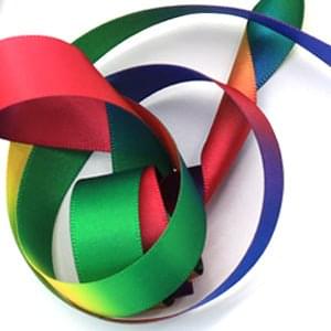 Rainbow Ribbon Wand Cat Teaser Toy - Jabula & Co Pets