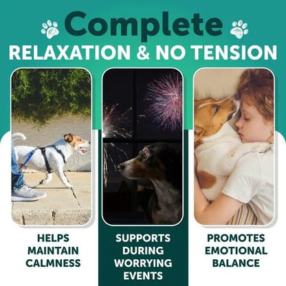 Hemp Calming Chews for Dogs — Anxiety Relief Treats - Jabula & Co Pets
