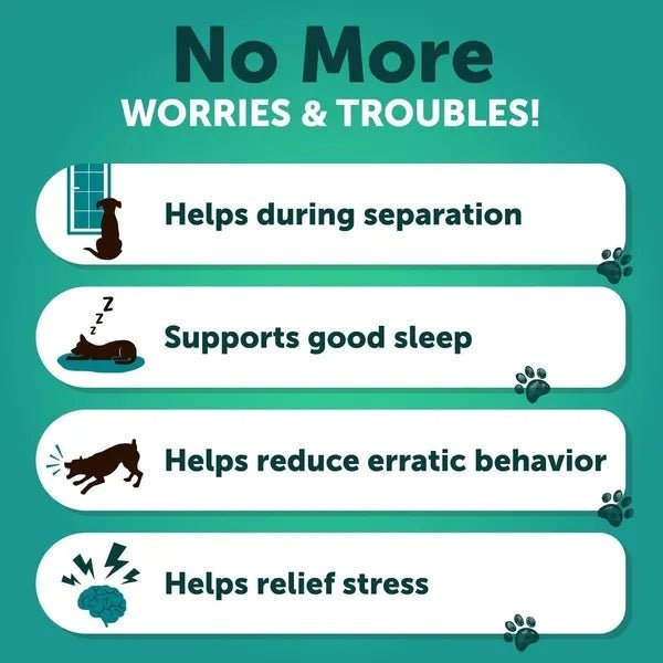 Hemp Calming Chews for Dogs — Anxiety Relief Treats - Jabula & Co Pets