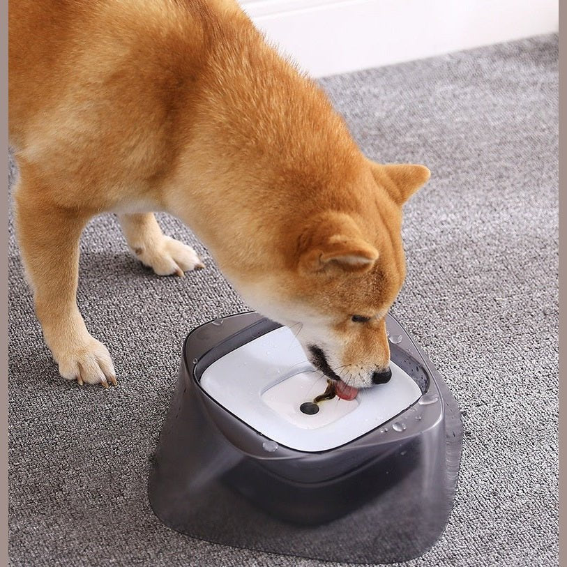 No-Spill Floating Pet Water Bowl | Jabula & Co Pets - Jabula & Co Pets