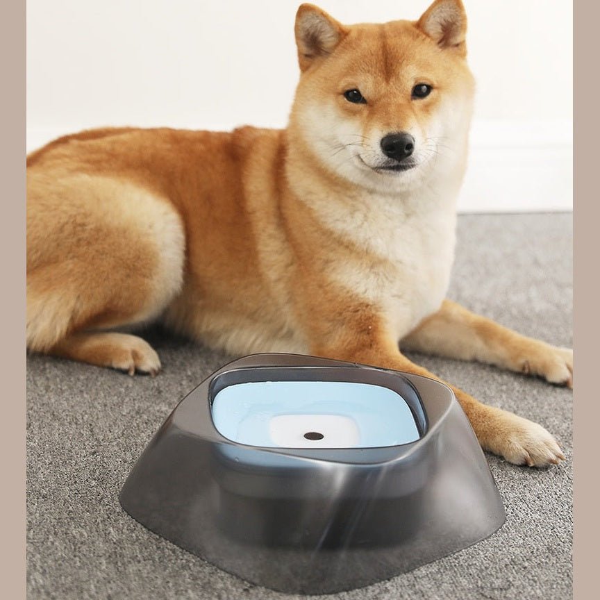 No-Spill Floating Pet Water Bowl | Jabula & Co Pets - Jabula & Co Pets