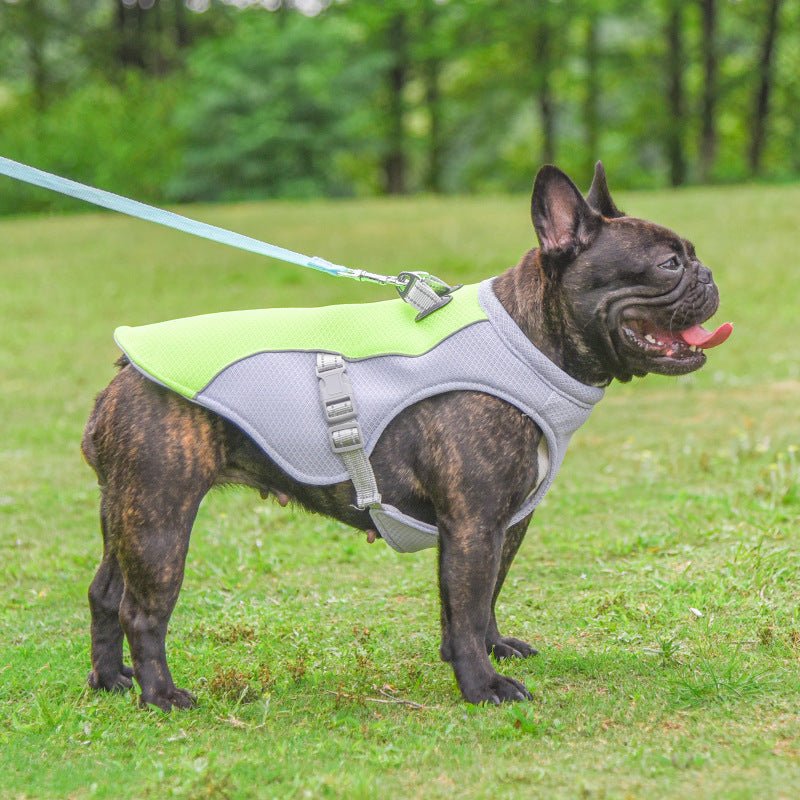 Summer Dog Cooling Vest — Breathable & UV-Protective - Jabula & Co Pets
